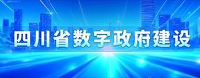 四川省数字政府建设