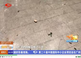 小区外墙频繁掉落 居民步步惊心