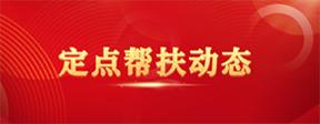 定点帮扶动态