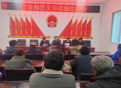 挖金村党支部召开组织生活会