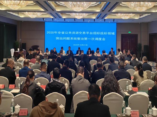省政务服务和资源交易服务中心组织召开全省公共资源交易平台招标投标突出问题系统整治第一次调度会