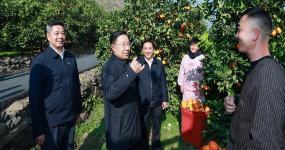 王晓晖在凉山州调研时强调 更加注重在发展中保障和改善民生 在满足民生需求中不断拓展发展空间